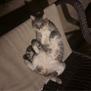 Meet your Posher, Kyler